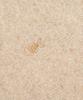 Edeunbeoleokeulleob Shetland Wool Fish Knit (Beige)