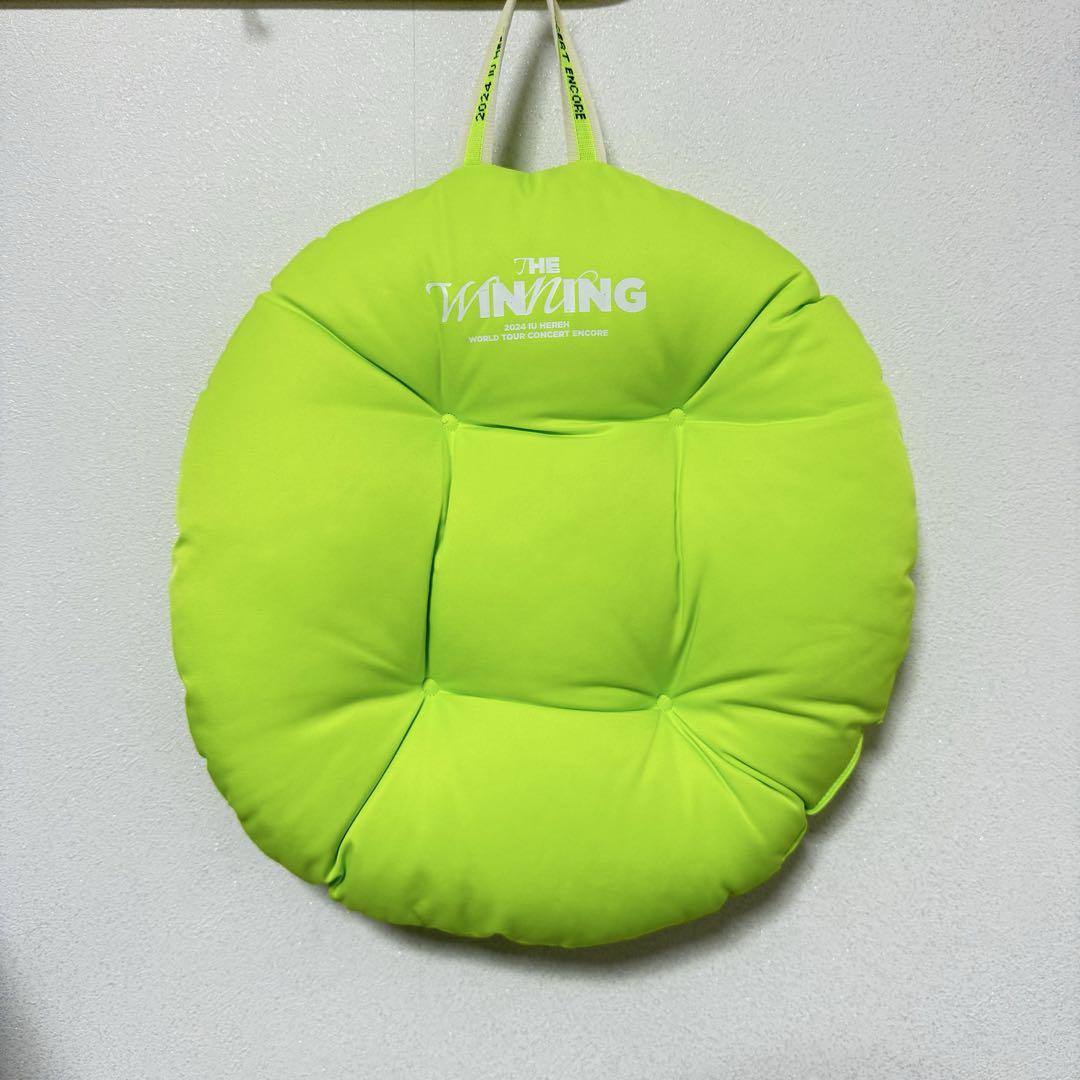 

[Б/У] 2024 IU HEREH WORLD CONSERT ENCORE Подушка