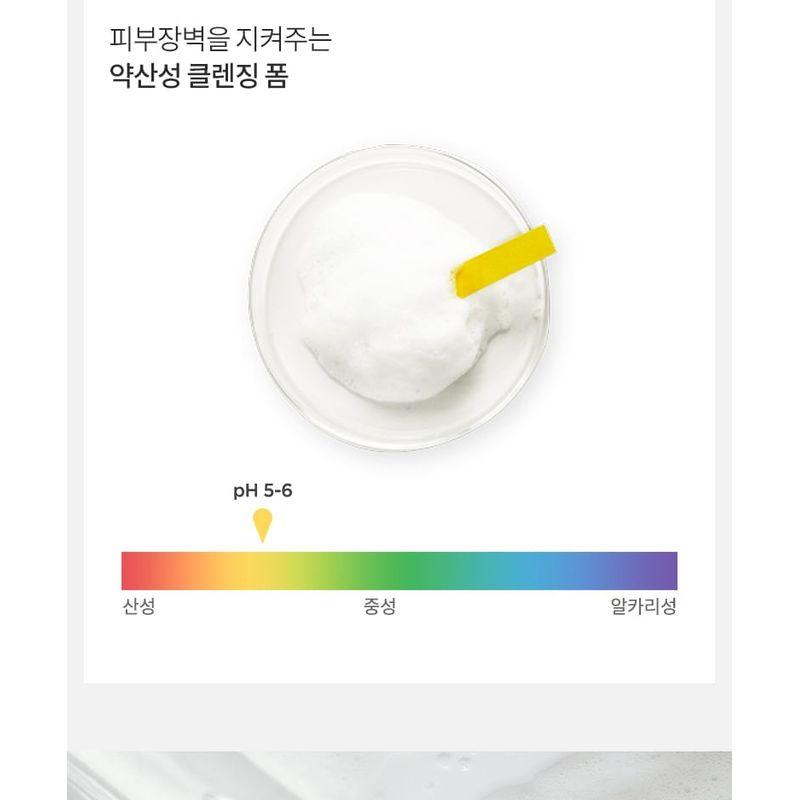 Anua Heartleaf Succinic Moisture Cleansing Foam