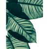 Bohemian Watercolor Tropical Plant Canvas Painting Monstera Banana Leaf Eucalyptus and Fern Art Posters Aesthetic Bedroom Decor
