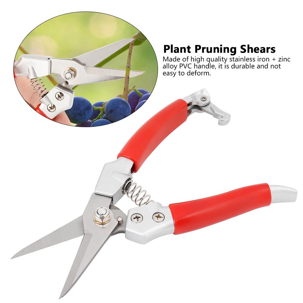 Plant Pruning Scissors Red Handle Straight Pruning Shrs Hand Pruner (Painting Process)
