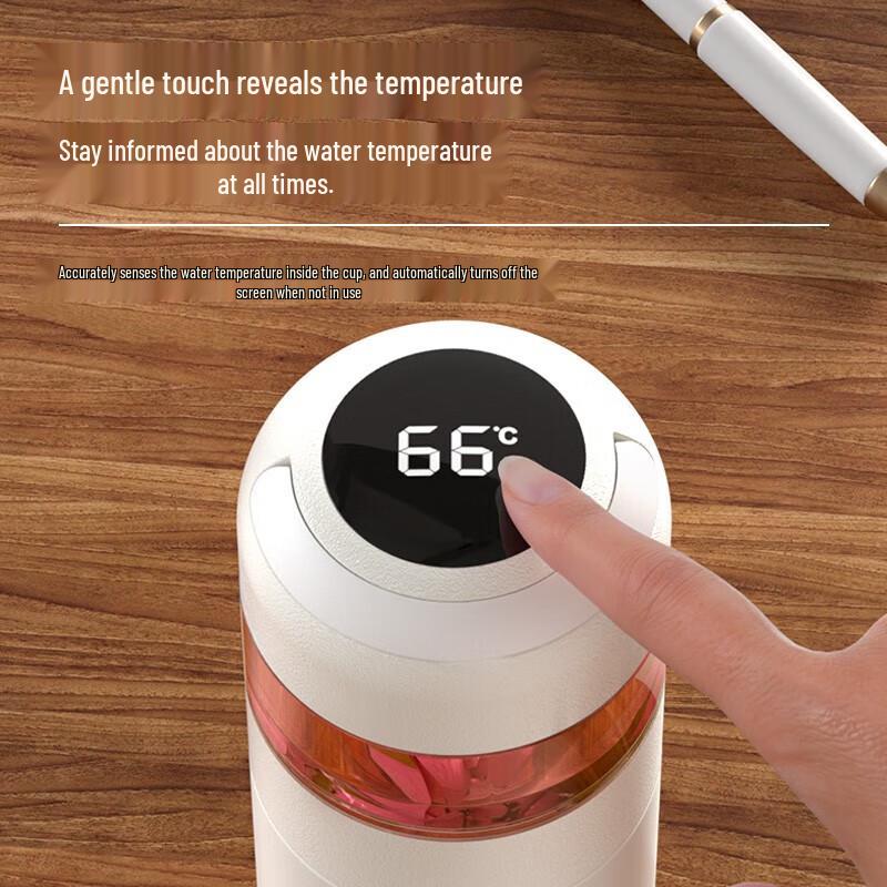 Temi Tea Infuser Thermos Bottle