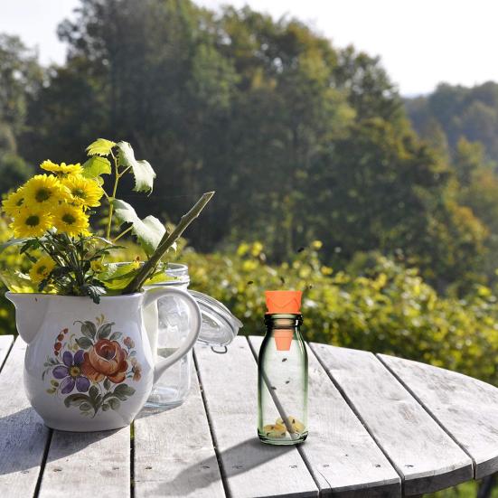 4/6/8Pcs Outdoor Indoor Kithchen Silicone Reusable Fruit Fly Traps Catcher Tool