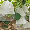 Biodegradable Grape Protection Bags: Rainproof, Insect-Proof, Bird-Proof, and Breathable
