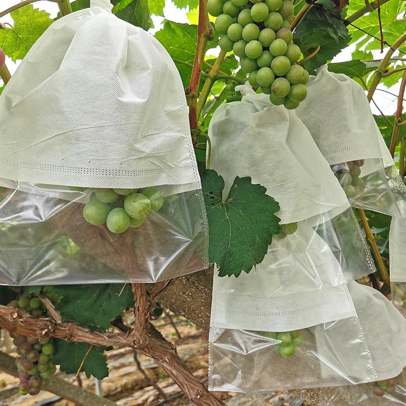 Biodegradable Grape Protection Bags: Rainproof, Insect-Proof, Bird-Proof, and Breathable