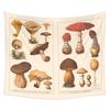 New Mushroom Tapestry Wall Decorative Girl Room Wall Hanging Aesthetics Room Abstract Tapestry Wall Hanging Home Supplies