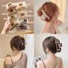 Elegant Autumn/Winter Women's Temperament Hair Claw Clip