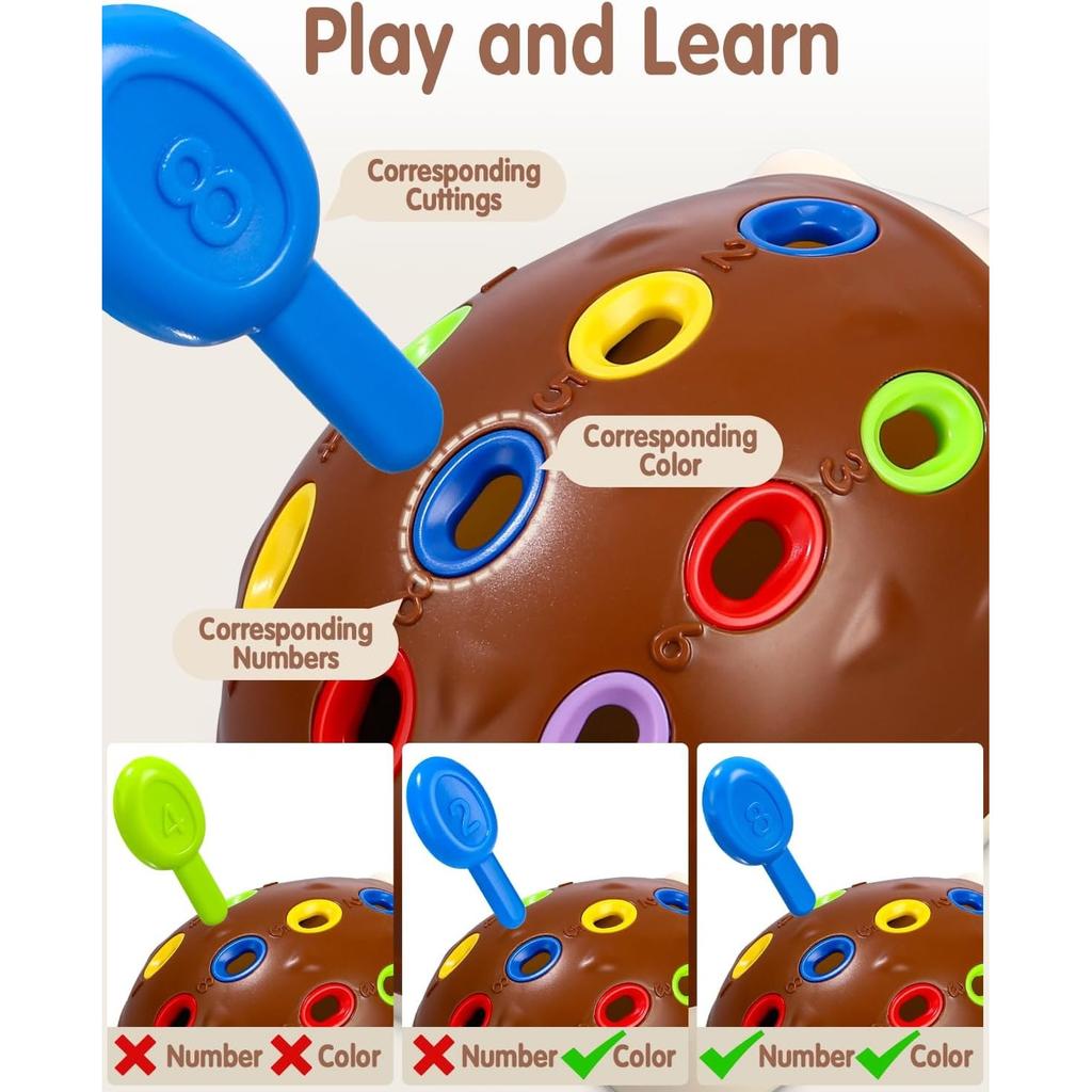 Montessori Hedgehog Toy, Fine Motor Skills Toy for Toddlers 2+ Years, Hand-Eye Coordination & Sensory Learning Toy for Kids 2 Years Old and Up