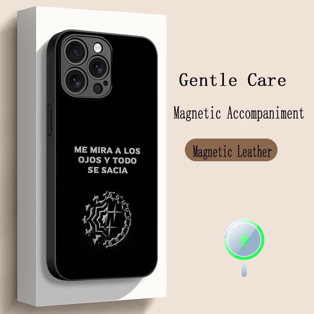 Hot Singer Morad Pattern Design Phone Case For iPhone 16 15 14 13 12 11 Plus Pro Max  High-end Luxury Magsafe Sheepskin