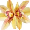 Women Hairpin Simulated Flower Shape Colorfast Hair Clip Back Head Hair Claw Daily Wear Party Hair Accessory