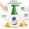 Chao Neng Foam Antibacterial Hand Soap