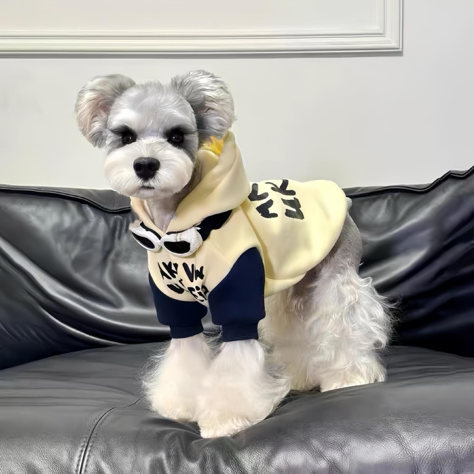 

Warm Winter Dog Sweatshirt for Teddy & Bichon Puppies – Cold-Proof Pet Outfit M (5-8 lbs)