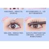 Mogugu - Doll Eye Volume Glue-Free Cluster False Eyelashes