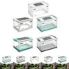 Transparent Foldable Reptile Terrarium Ventilated Box Multipurpose 360 Degree Viewing Portable Mesh Top Panel Breeding Tank