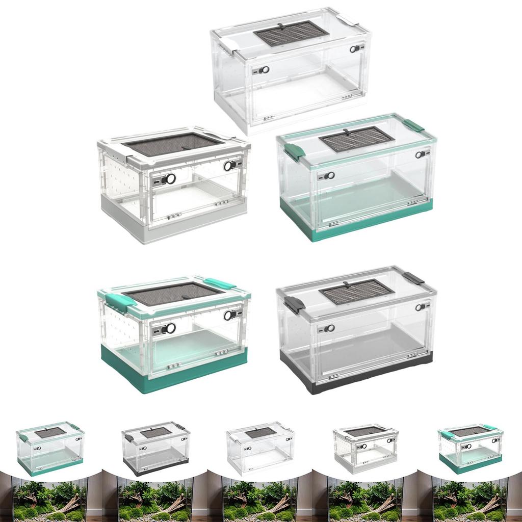 Transparent Foldable Reptile Terrarium Ventilated Box Multipurpose 360 Degree Viewing Portable Mesh Top Panel Breeding Tank