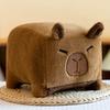 New Square Capybara Plush Toy Creative Kapibara Doll Throw Pillow Sofa Ornament Grab Machine Doll