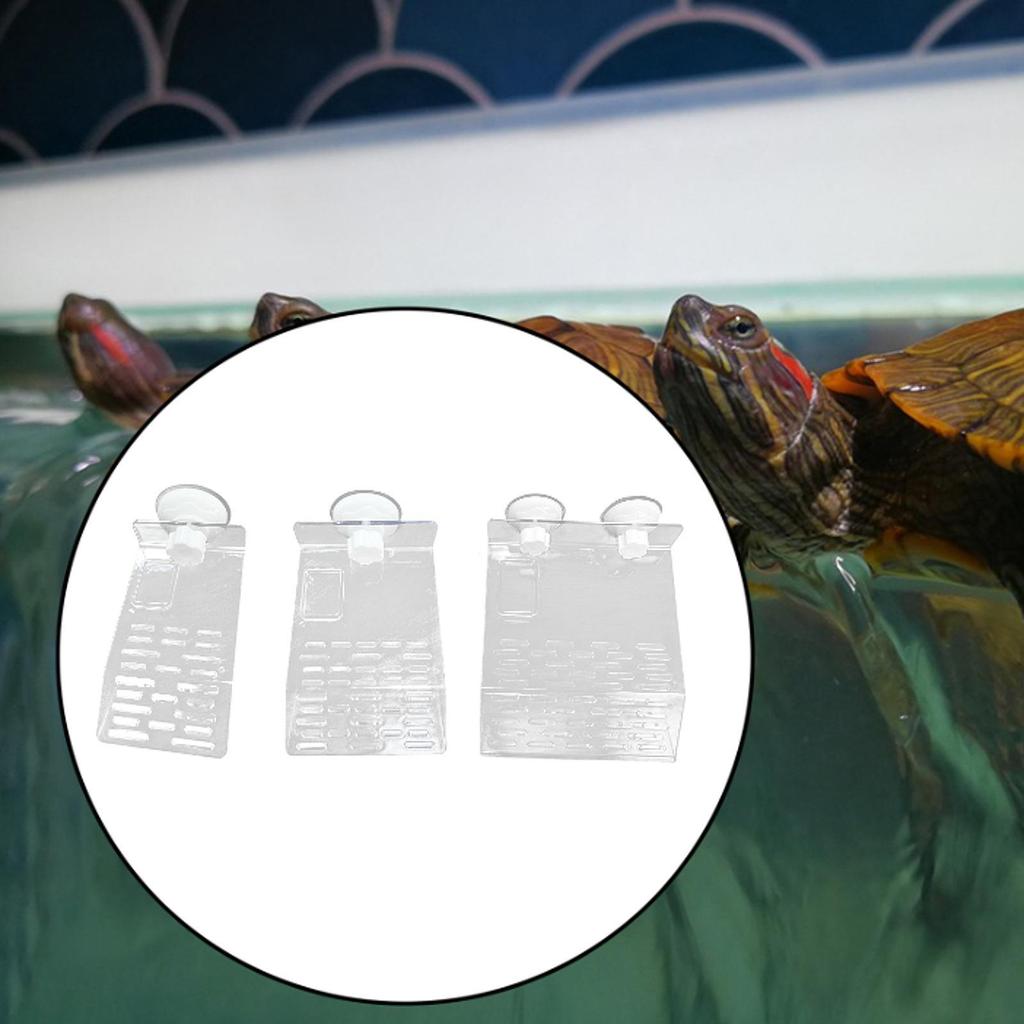 Turtle Basking Platform Multifunctional with Suction Cup Accessories Food