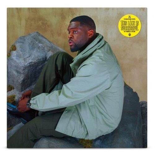 VINYL LP - BECAUSE - Varnish La Piscine - This Lake Is Successful - Ed Banger - EAN 5056556108795