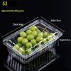 Tiemuyun Disposable Transparent Fruit Containers