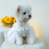 Pet Circle Snow White Pearl Princess Wedding Dress for Small & Medium Dogs