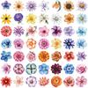 50Pcs Transparent Cartoon Floral Stickers - Waterproof PET Decor for Journals, Guitars & Notebooks RecordingYourLife Store