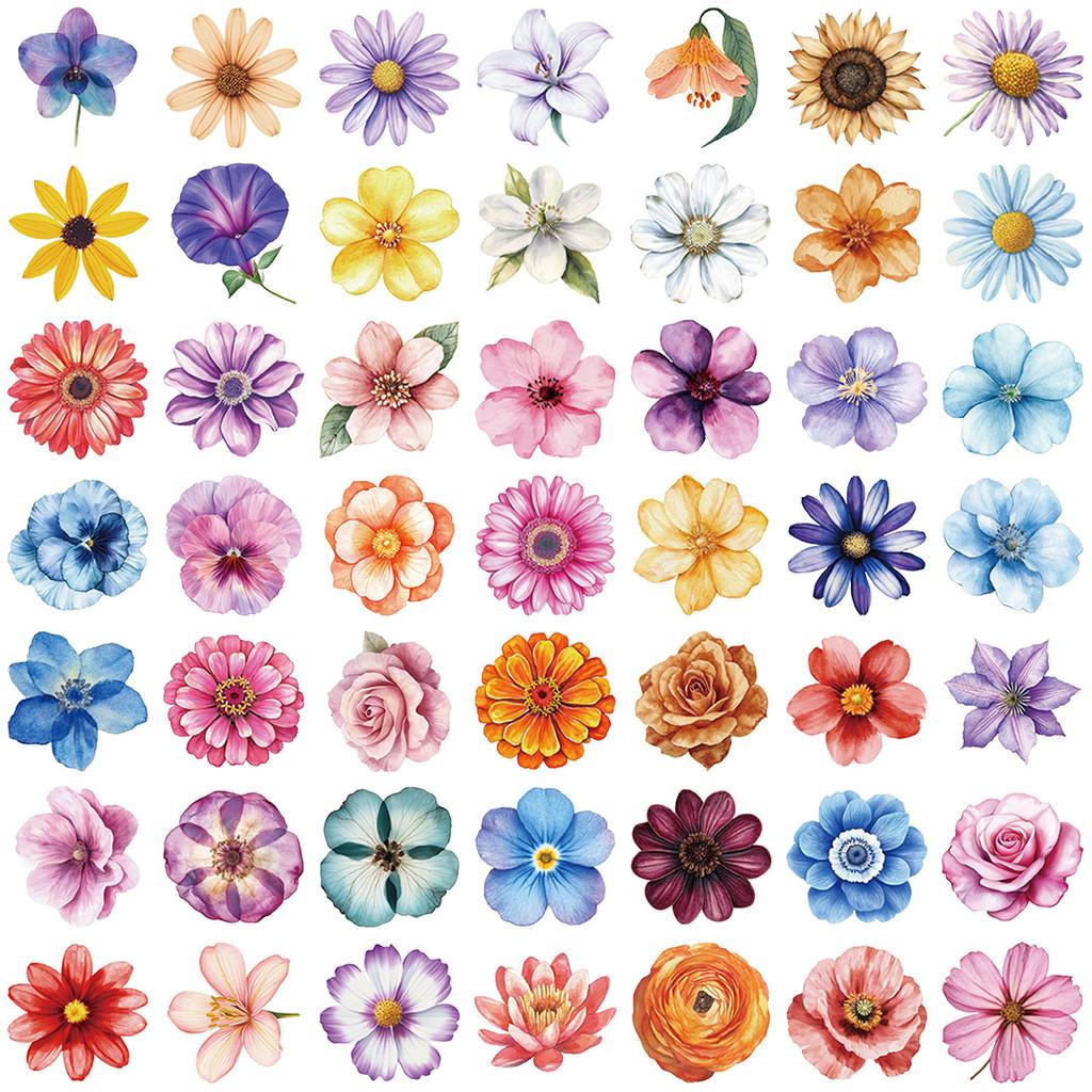 50Pcs Transparent Cartoon Floral Stickers - Waterproof PET Decor for Journals, Guitars & Notebooks RecordingYourLife Store