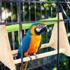 Bird Stand Wood Bird Playground Triangle Perch Playground For Parakeet Canary Cockatiel Finch Training Toy For Inside Outside
