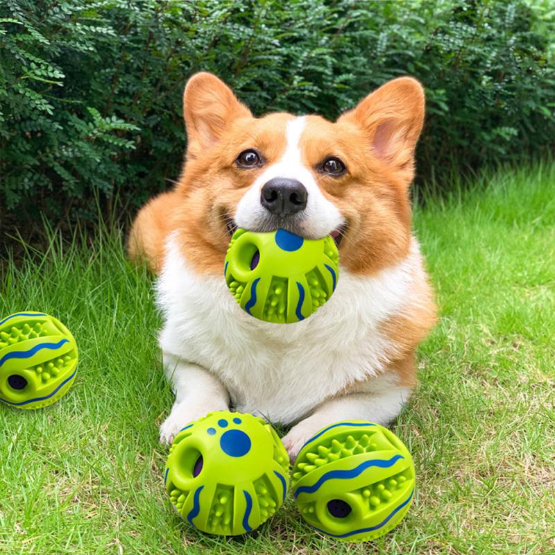 Kolorowa zabawka dla zwierząt brzmiąca piłka do żucia trzonowy ząbkowanie odporny na zgryz Anti-nudny pies interaktywny