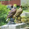 Garden Resin Eagle Statue, Outdoor Standing Eagle Sculpture, Yard Lawn Eagle Ornament, Housewarming Gift for Friends Family