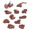 11Pcs/Set Dinosaur Fossil Model High Simulation Hand-painted Vivid Carnotaurus Dinosaur Skull Fossil Figurine for Kids