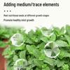 Organic Liquid Fertilizer for Hydroponic Mint and Potted Plants