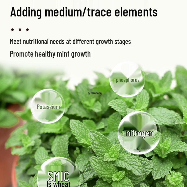 Organic Liquid Fertilizer for Hydroponic Mint and Potted Plants