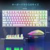 ZIYOU LANG Wireless Gaming Keyboard and Mouse Set for USB Dual LED Full Key 3800mAh Rechargeable 2400 DPI Ergonomic Compatible with Windows MACOS and