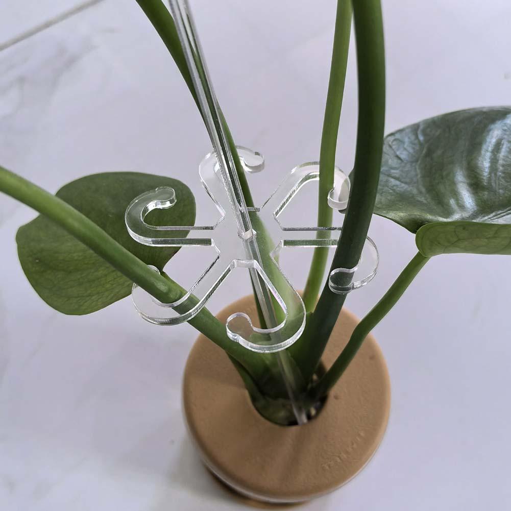 Acrylic Support Flower Stem Support Aesthetic Gardening Solution Plant Fixation Stakes Promotes Healthy Growth
