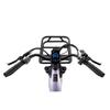 FREEDARE Eden Electric Bike Adults with Front Basket and GPS Smart App Control ,48V 20Ah Battery,Torque Sensor