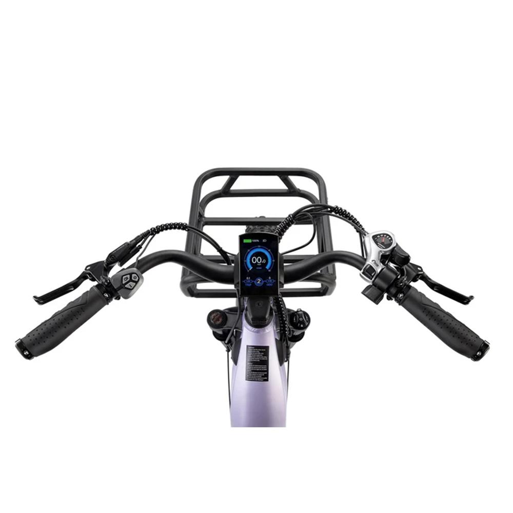 FREEDARE Eden Electric Bike Adults with Front Basket and GPS Smart App Control ,48V 20Ah Battery,Torque Sensor