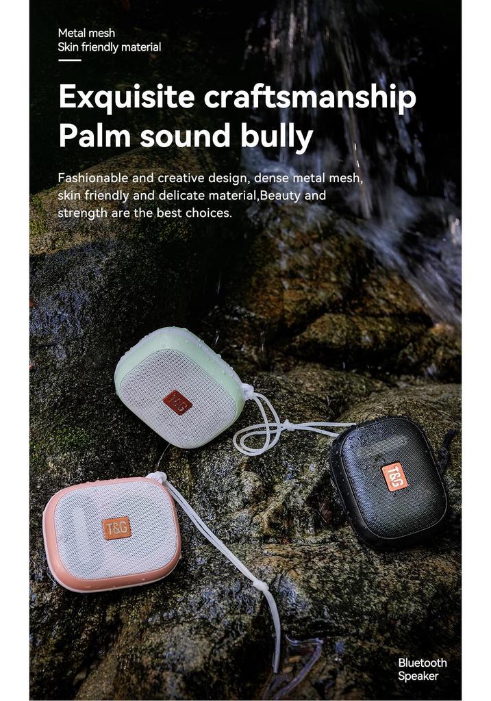 Portable Waterproof Bluetooth Speaker with Subwoofer, TWS Pairing & Lanyard