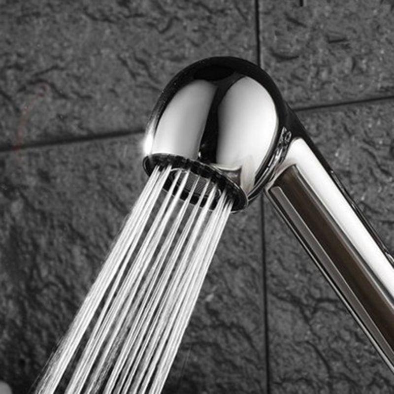 Pull Out Sprayer for Head Replacement with 2 Function Kitchen Faucet Sprayer for