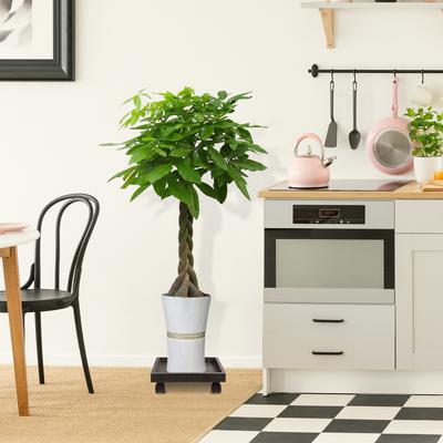Square Flower Pot Stand Thick Plastic Rolling Plant Tray Holder Indoor Outdoor Garden Patio Plant Trolley with Wheels