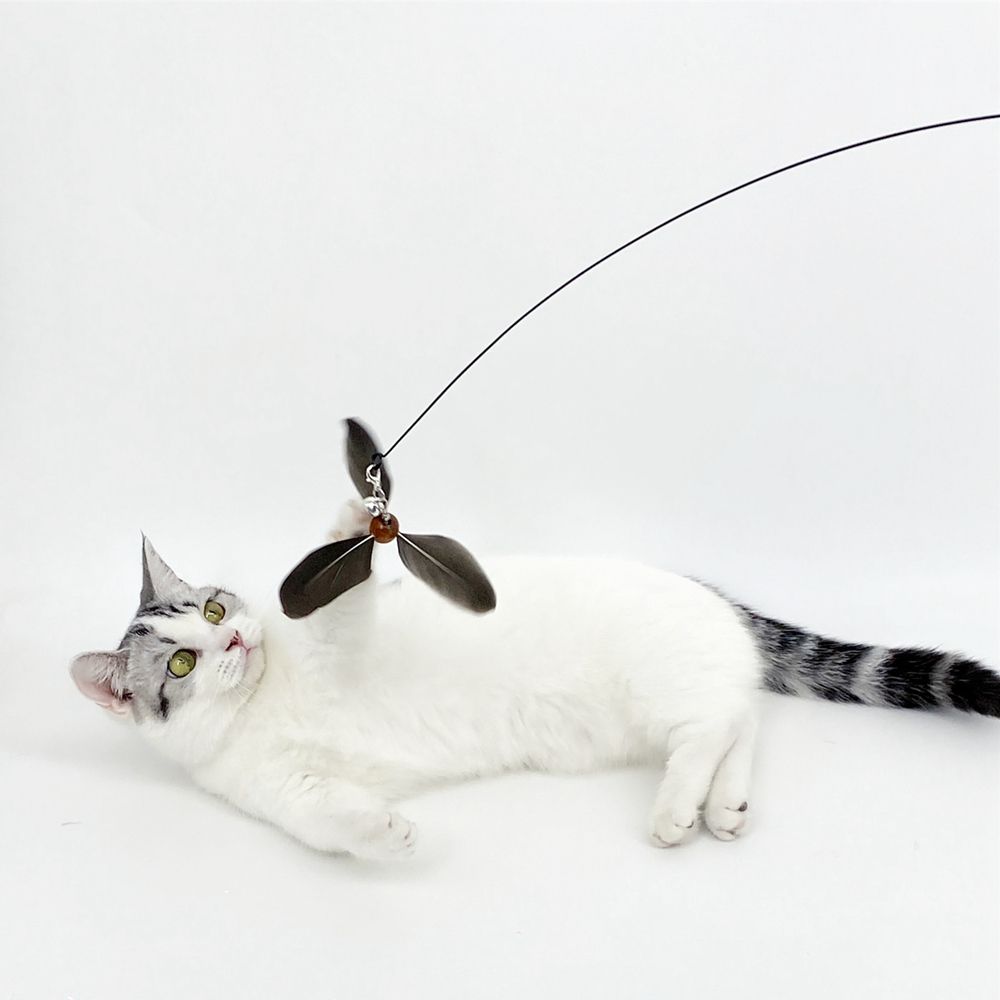 

Себя красочный устойчивый к укусам длинный удилище стиль для ловли кошек игрушка волшебная палка палка для кошек товары для животных разноцветный