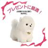 Hyack Pomeranian Plush Toy, Cute Stuffed Animal Pillow, Fluffy, White [Parallel Import]