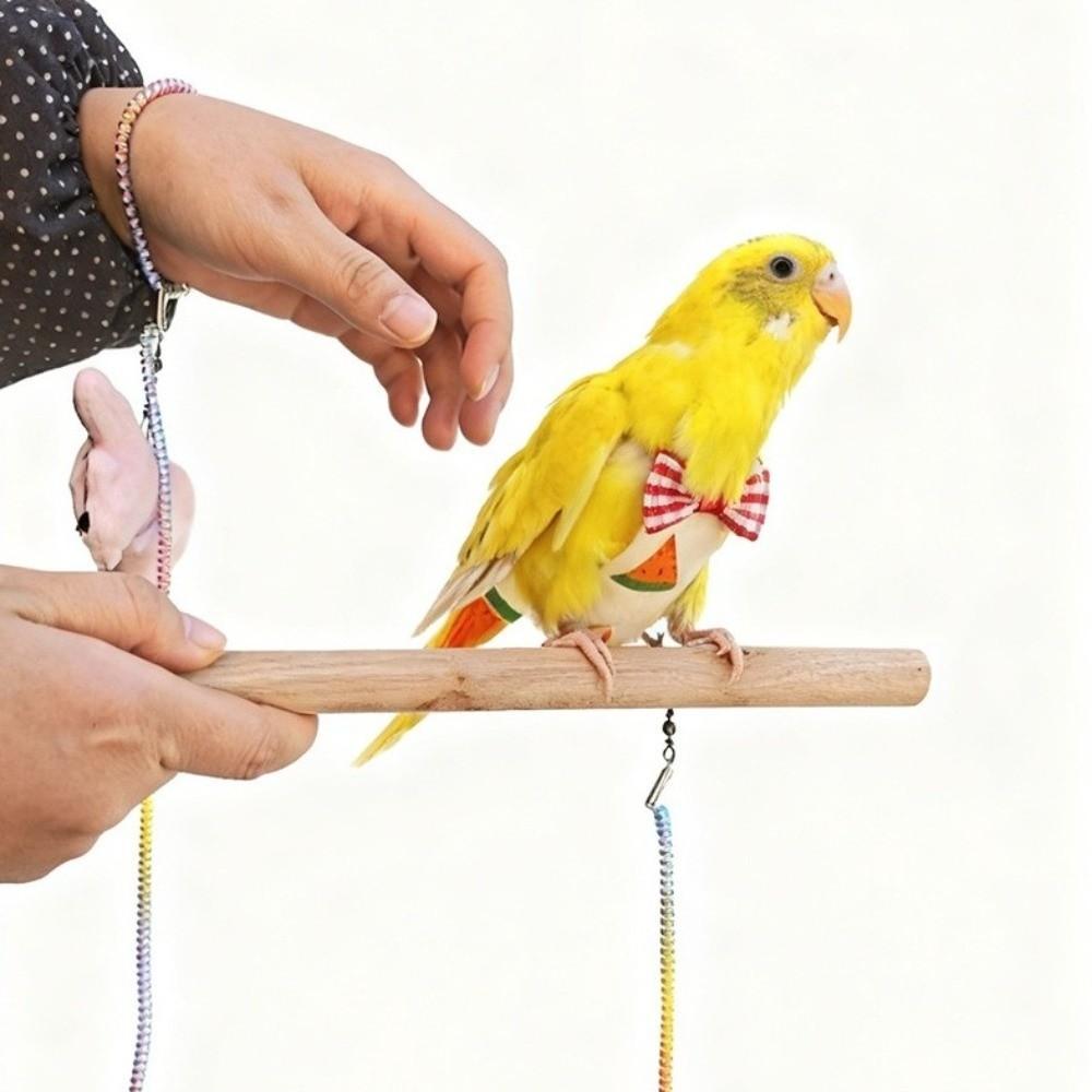 Anti-Bite Bird Harness Leash Anti-flying Adjustable Bird Training Rope Lightweight Elastic Rope Flying Traction Straps