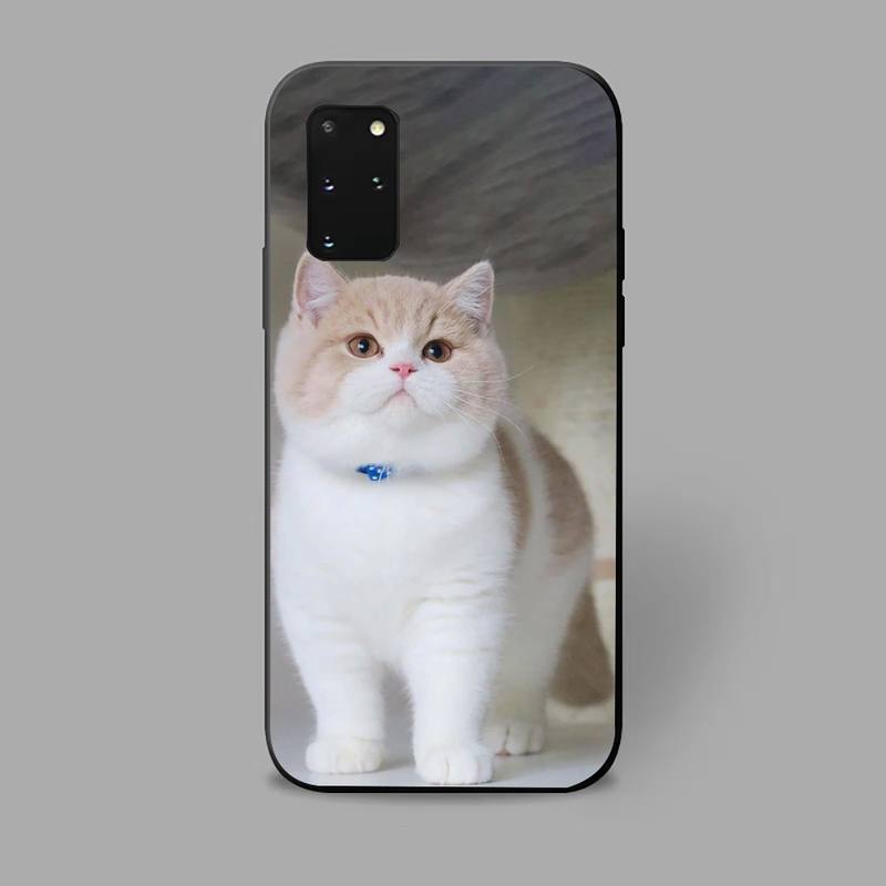 Gray Cat Phone Case For iPhone Samsung Galaxy Redmi Xiaomi Oppo OnePlus Note S A 7 8 9 10 11 12 13 14 20 21 22 23 53 54 Pro Max Plus Ultra TPU Soft