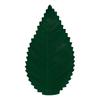 200Pcs/Bag Artificial Green Leaf Reusable Colorfast Vibrant Color Simulation Sushi Decoration Leaf Kitchen Accessories