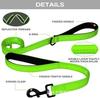 Double Layer Explosion-Proof Reflective Dog Leash - Shock-Absorbing, Thickened Pet Leash