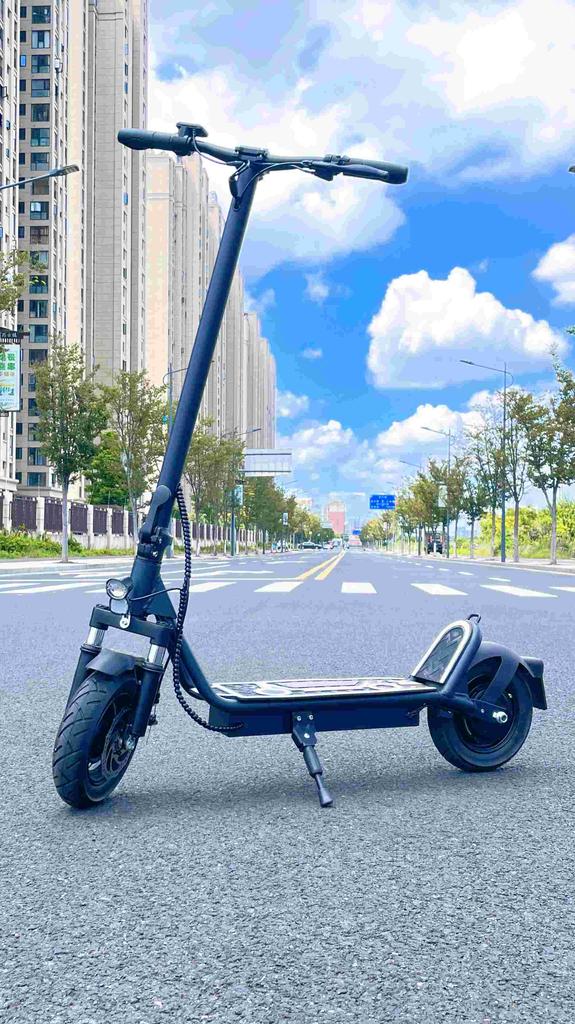 DriveTron DT01 Is Equipped with a 36V 13AH Battery and a 400W Motor, with a Maximum Speed of 30KM/H.(NO ABE)
