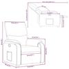 VidaXL Fauteuil Inclinable, Chaise de Relaxation avec Repose-pieds, Siège avec Dossier et Accoudoirs Salle de Séjour, 373439
