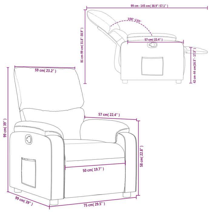 VidaXL Fauteuil Inclinable, Chaise de Relaxation avec Repose-pieds, Siège avec Dossier et Accoudoirs Salle de Séjour, 373439