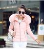 Autumn and winter new women's cotton-padded jacket short big fur collar women's cotton-padded jacket