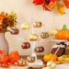 Christmas Home Decoration Autumn Atmosphere Ornament Warm Color Autumn Theme Holiday Decoration 6/12PCS